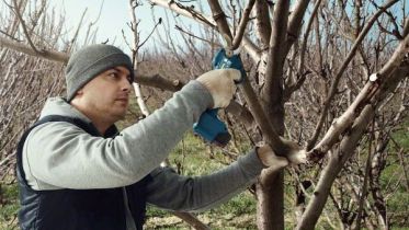 A Pro Pruner akár 4500 vágást is bír egyetlen feltöltéssel