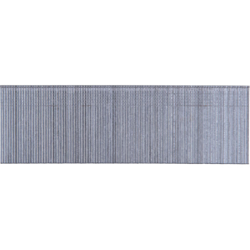 EXTOL Szeg fejjel, 18G, hossza: 40 mm (6000 db) 8862617