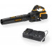 Riwall PRO RABL 3220i SET akkus lombfúvó 40 V + töltő AB42E2601022B