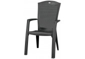 ALLIBERT MINNESOTA kartámaszos műanyag kerti szék, grafit 213717 (17198329)