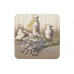 BANQUET Lavender poháralátét, 6 db, 10 x 10 cm 12CF43287CST
