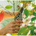 Fiskars Plant Care Kerti Metszőolló Tokkal, 20 cm 1075314
