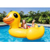 INTEX MEGA DUCK ISLAND Kacsa 218 x 211 x136 cm 56286EU