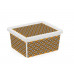 KIS C BOX WAX XXS 19,5x16,5x9,5cm 2L