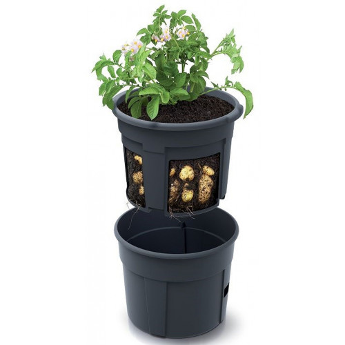 Prosperplast POTATO GROWER Burgonya ültető cserép 29,5cm, antracit IZIE300