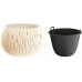 Prosperplast SANDY BOWL virágcserép, 14cm, 0,75L, krém DSK150