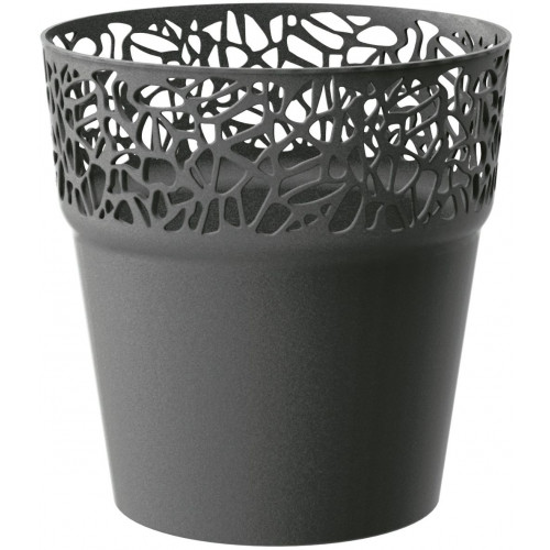 PROSPERPLAST TREE virágcserép, 17,5 cm, antracit DTRE175-S433 PROSPERPLAST TREE virágcserép, 17,5 cm, antracit DTRE175-S433