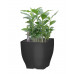 Květináč G21 Cube mini "SAMOTNÝ OBAL" 13.5 cm, černý 6392573
