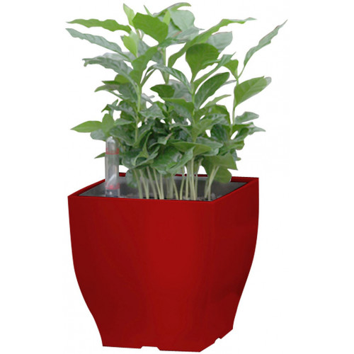 G21 Combi Mini önöntöző kaspó, piros, 13,5 cm 6392574 G21 Combi Mini önöntöző kaspó, piros, 13,5 cm 6392574