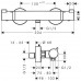 HANSGROHE Ecostat Comfort termosztátos zuhanycsaptelep, króm 13116000