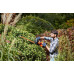 Black & Decker BEHTS301-QS Sövényvágó (50cm/500W)