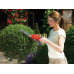 Black & Decker GSL300-QW Akkus sövényolló (15cm/3,6V/1,1Ah)