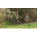 BOSCH AdvancedBrushCut 36V-23-750 Akkus szegénynyíró (36V/akku / töltő nélkül) 06008C1K02