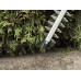 Einhell GC-CH 1855/1 Li-Solo Sövényvágó (18V/Akkumulátor és töltőkészülék nélkül) 3410502