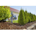 GARDENA Micro-Drip-System Induló öntözőkészlet növénysorokhoz (M) 13012-20