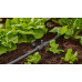 GARDENA MDS T-elem permetező fúvókákhoz, 13 mm (1/2"), 5 db 13206-20