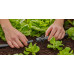 GARDENA MDS T-elem permetező fúvókákhoz, 13 mm (1/2"), 5 db 13206-20
