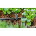 GARDENA MDS T-elem permetező fúvókákhoz, 4,6 mm (3/16"), 5 db 13216-20