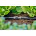 GARDENA MDS Univerzális csatlakozó 13 mm (1/2") (1db)13220-20
