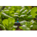 GARDENA MDS Vég-, csíkfúvóka, 5 db 13318-20