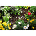 Gardena Micro-Drip-System Föld feletti csepegtetőcső 4,6 mm (3/16"), 15 m 1362-20