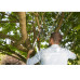 Gardena Comfort SmartCut Racsnis ágvágó olló, ø 45 mm 8773-20
