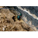 Metabo SP 120-35 S Merülőszivattyú szennyezett vízhez (410W/12000l/h) 601794000