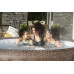 BESTWAY Lay-Z-Spa St. Moritz AirJet Felfújható jakuzzi, 216 x 71 cm 60023