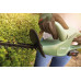 BOSCH EasyHedgeCut 18-45 Sövénynyíró 0600849H01