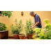 BOSCH GardenPump 18V-2000 Akku esővíz-szivattyú (18V/1x2,5Ah) 06008C4202