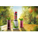 CONCEPT SM3365 smoothie maker - Smoothie to go sm3365