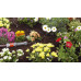 GARDENA Micro-Drip-System 1000 Alapelem 1355-20