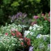 GARDENA Micro-Drip-System 360°-os Permetező fúvóka, 5 db 1365-29