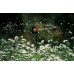 GARDENA Micro-Drip-System 360°-os forgó permetezőesőztető, 2 db 1369-29