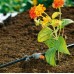 GARDENA Micro-Drip-System Sorcsepegtető, 2 l/h, 10 db 8343-29