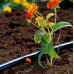 GARDENA Micro-Drip-System Végcsepegtető, 2 l/ó, 25db 1340-29