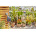 GARDENA öntözőkomputer Easy plus 01897-20