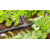 GARDENA MDS T-elem, 4,6 mm (3/16"), 10 db 13211-20