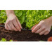 GARDENA MDS T-elem, 4,6 mm (3/16"), 10 db 13211-20