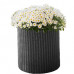 KETER LARGE CYLINDER PLANTER műrattan virágláda, antracit 229124 (17197837)