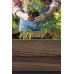 KETER DECO ELEVATED GARDEN BED Virágláda, 113 x 47,5 x 79,8 cm, walnut (17213340) 263873