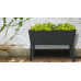 KETER SPLENDOR 120L Virágláda 114 x 49,3 x 75,7 cm, antracit (17211629) 255152