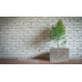 G21 Natur Box virágcserép 80x56x34 6392801