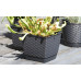 PROSPERPLAST RATOLLA SQUARE virágcserép, 8,2L, fehér DRLK250-S449
