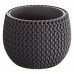 Prosperplast SPLOFY Bowl virágcserép, 29cm, 3,9l, antracit DKSP290-S433