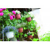PROSPERPLAST AGRO függő virágcserép, 4,5 l, terrakotta DAGW5-R624