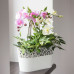 Prosperplast CITY csipkézett virágláda, 28,5 cm fehér színű DCIT285