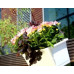PROSPERPLAST CAMELIA W virágláda akasztóval, 402 x 170 x 143 mm, terrakotta DCM400W-R624