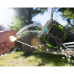 SENCOR SSS 1050 BLUE Bluetooth hangszóró 35049801